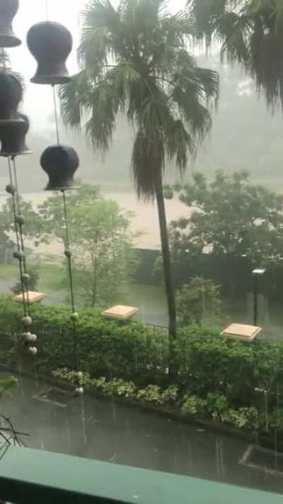 Any rainy day is a good day