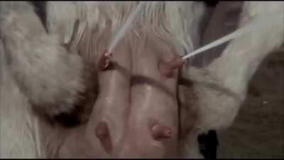 Nasıl tepki vereceğimi şaşırdım