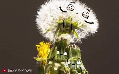 The Circle of life (with sound)