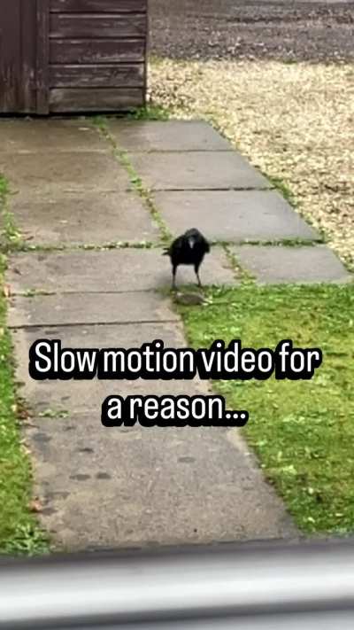 A quiet reminder of how the ecosystem balances itself