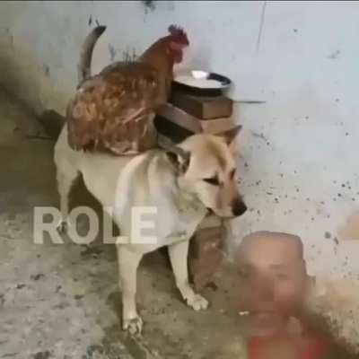 Emocionante 😔👍