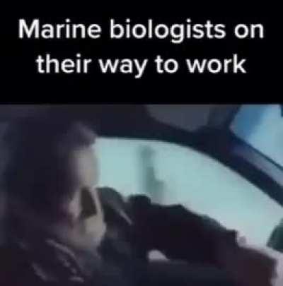 Day 146 of posting memes