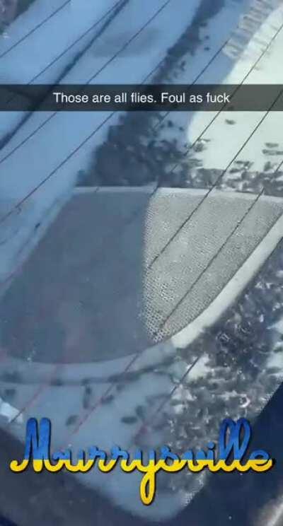 Saw this at the local walmart today. Car wasn’t there after I was done shopping which means somebody is actually driving this. 🤮