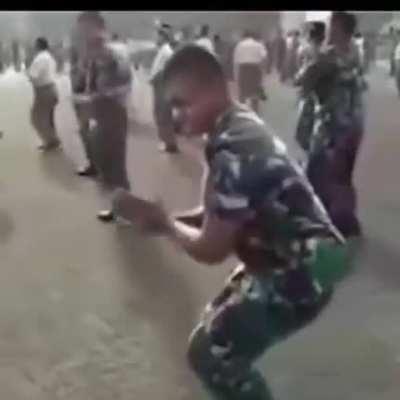 Este ultimo és cria