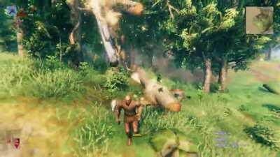 Heat-Seeking Tree Kills Man