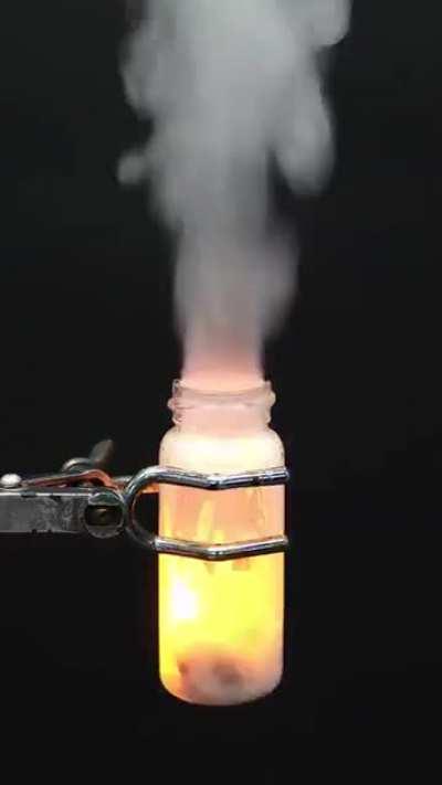 Don't put your duck in that, just, don't