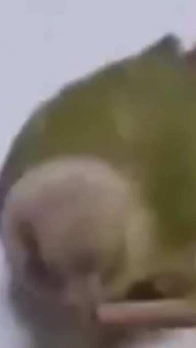 You are going for a ride!