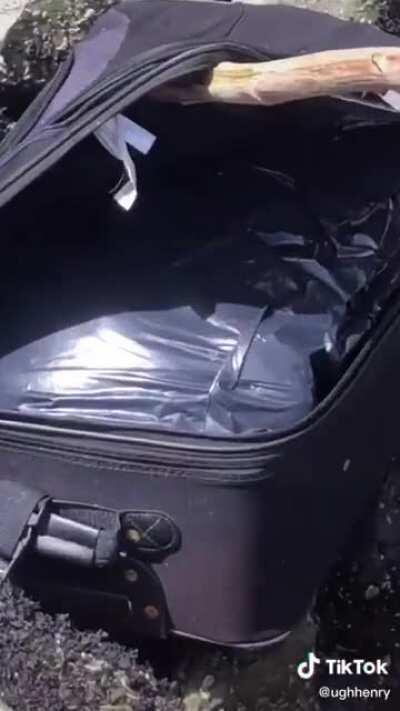 TikTok of teenagers finding remains on Seattle beach