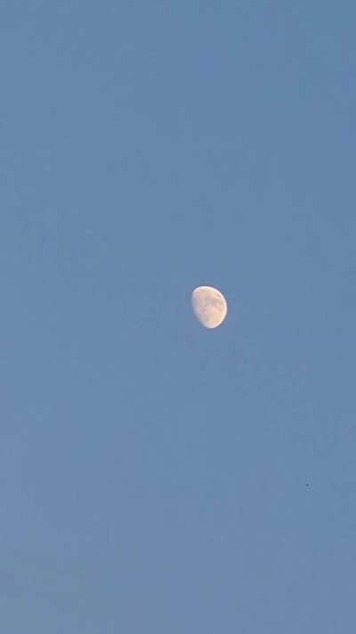 the video quality on this thing aint too bad