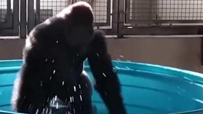 It is the dance time baby