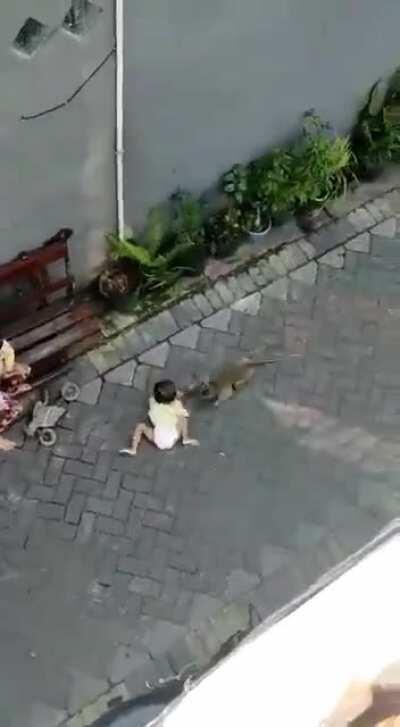 Definitely not something you see every day...