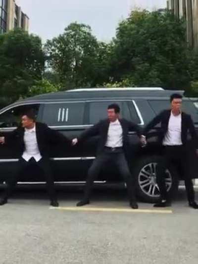 Professional Security