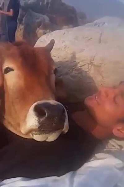 I'm sure y'all must have seen it already. But here, enjoy it one more time❤️