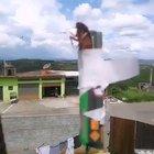 Revenge against the flying cockroach 🦗