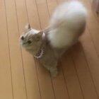 oh cmon just carry me already