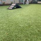 He refuses to put his leash on when we’re at the dog park.