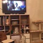 I think I know what she wants for Christmas.