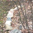 Just a groundhog gathering leaves!