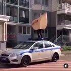 СтопКопХам