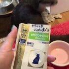 Just an otter eating... nothing CUTE!