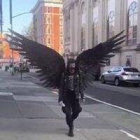 Winged Edgelord of Social Distancing