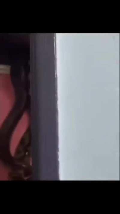 consider living there 