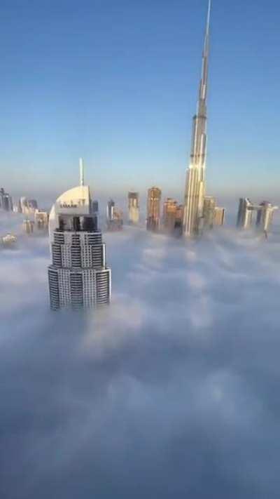 Did not expect the height