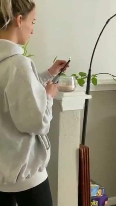 Posting random videos from my phone until I buy a new home button - day 169