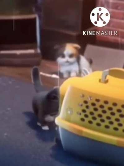 Saw this ad in a vinny vinesauce stream,what the hell