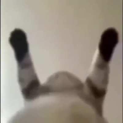 Aaaaa 😫😫😫😫