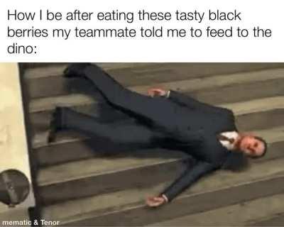 If they can eat them then so should I