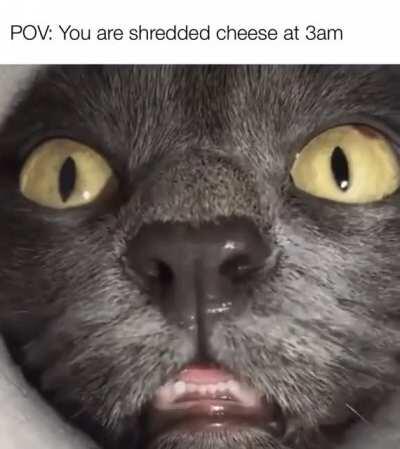 Lookin very cute while eating all the snacks!