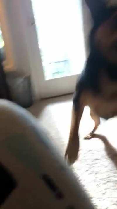 “I’m ready for dinner” slammy whammies