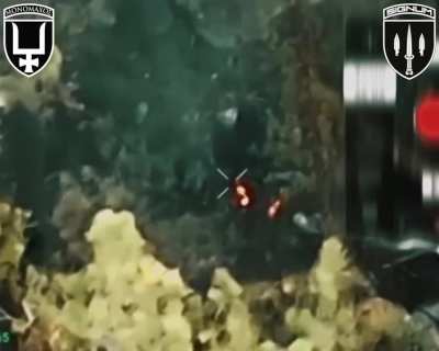 Drones of the Signum Battalion striking Russian Soldiers with FPV Drones, Lyman Direction