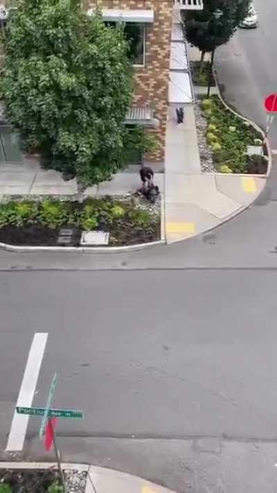 She throws a rock at an old lady...