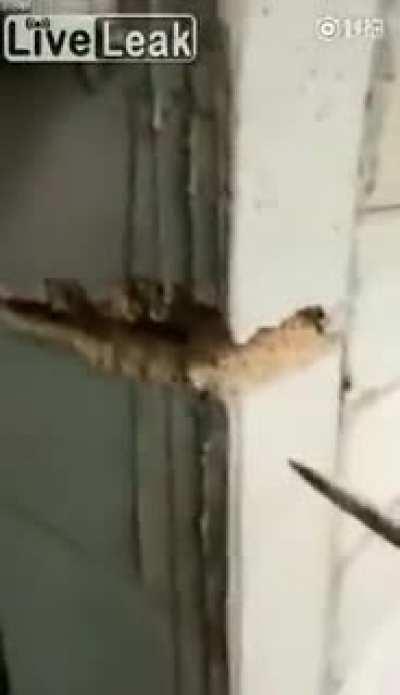 An actual skyscraper in China.