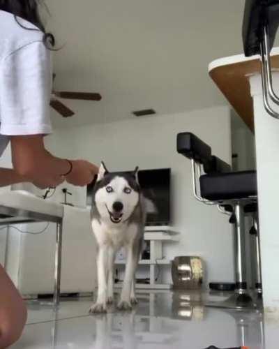 He knows you very good!!