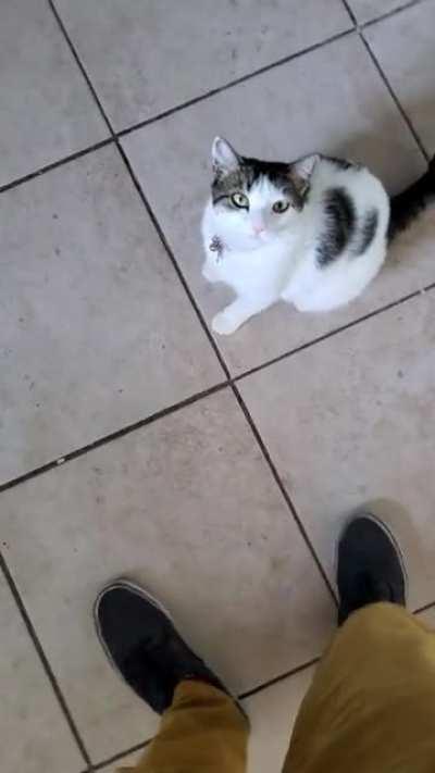 I think she wants some pettins