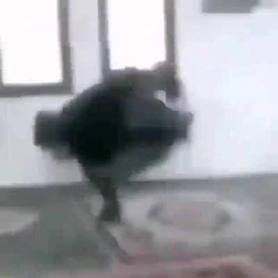 Maşallah hocam maşallah