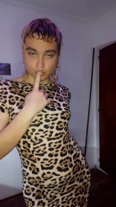 Just a tiger staring at you :)