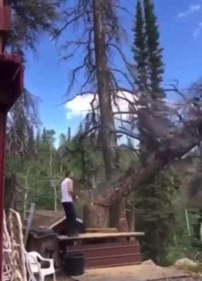 He thought he finished it and then ..