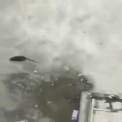 İtalyan adam striptizci aztek tanrısıyla savaşırken haç biçimindeki taşın altında kalıyor.