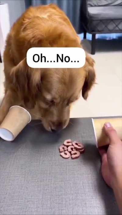 To trick a good doggo