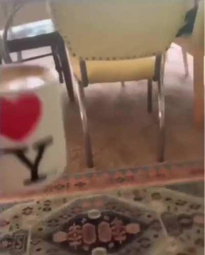 Imagine explaining this to the apple store