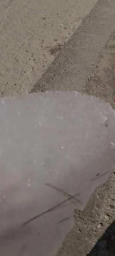 Cold, but gold, boys.