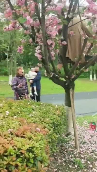 洼地核心礼仪实用教程：踏青赏花篇