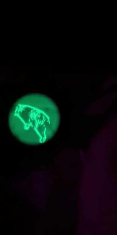 A quick video of the Jerry CE5 thermal overlay on a PVS-14