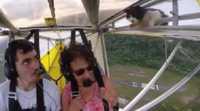 When you realize your cat's not at home