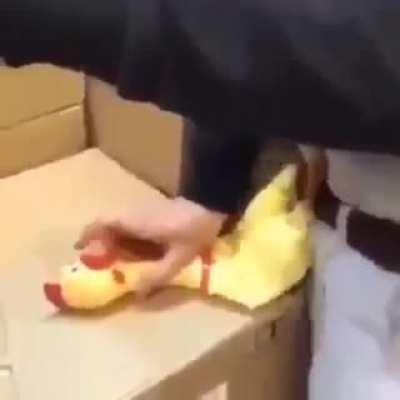 When you promise you'll go steady on her 🤣😈