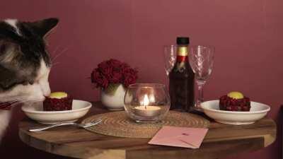 I made a short film about my cat Broccoli having a Valentine's date